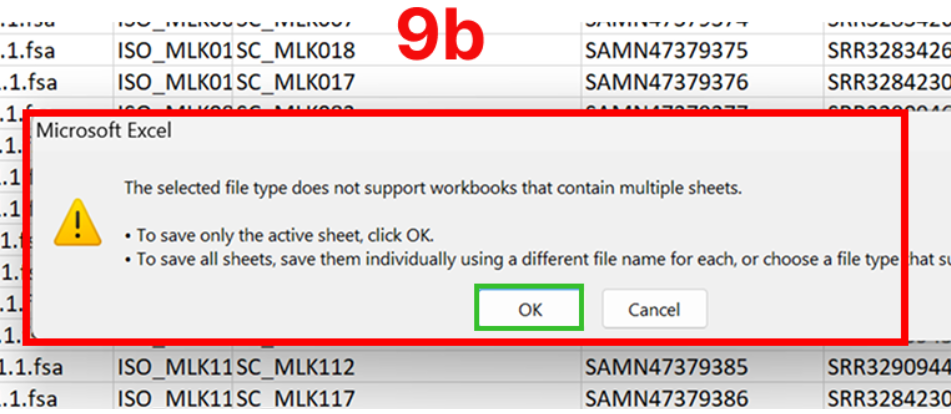 Excel warning: keep using Text Tab delimited format